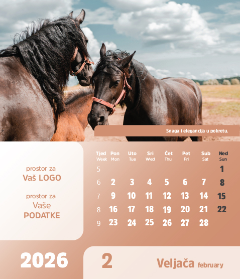 Stolni CD kalendar - 2026 - "Arka" - Slika 3