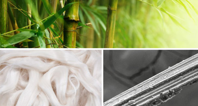 vlakna bambusa