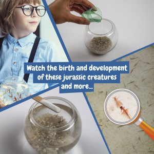 Jurassic Pets Kit I. Edukativna igra za djecu