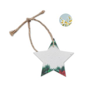 Seed paper Xmas ornament CX1516