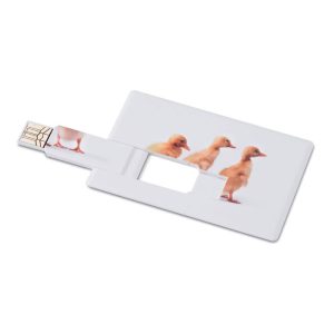 Creditcard. USB flash 16GB MO1059c