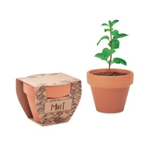 Terracotta pot mint seeds MO2218