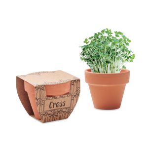Terracotta pot cress seeds MO2219