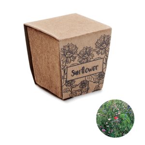 Sunflower growing kit MO2411