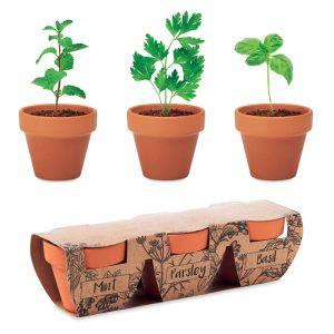 Terracotta 3 herb pot set MO6145