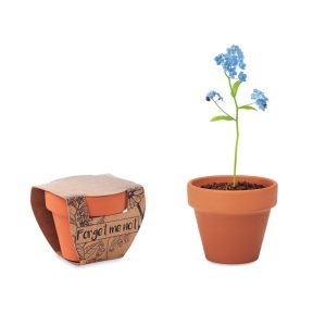 Terracotta pot 'forget me not' MO6146