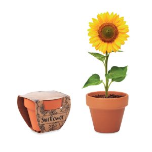 Terracotta pot 'sunflower' MO6147