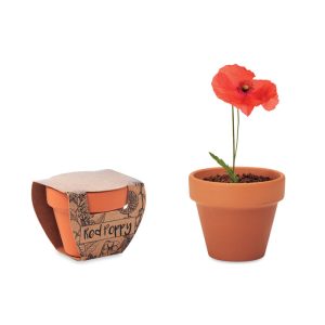 Terracotta pot 'poppy' MO6148