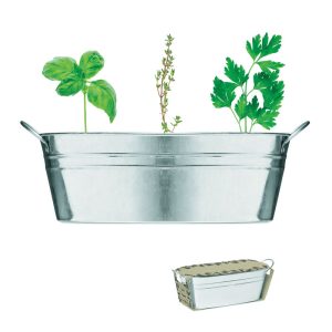 Zinc tub with 3 herbs seeds MO6497