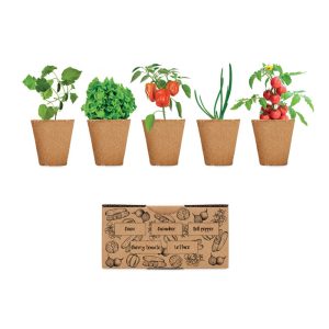 Salad growing kit MO6499