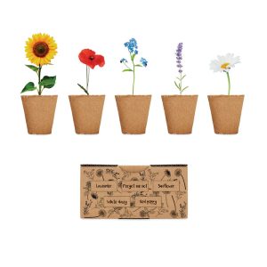 Flowers growing kit MO6500