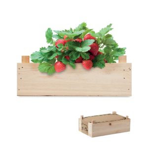 Strawberry kit in wooden crate MO6506
