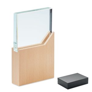 Award plaque MO6585