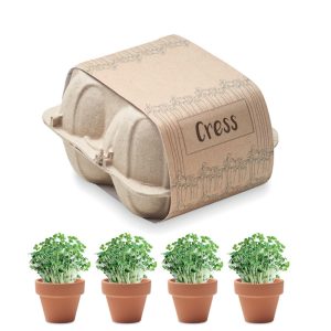 Egg carton growing kit MO6886