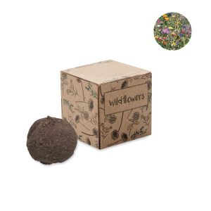 Seed ball growing kit MO6908