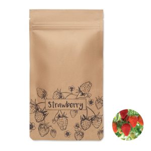 Strawberry growing kit MO6928