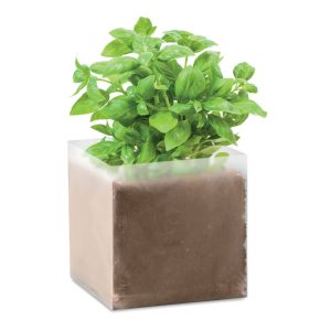Compost with seeds "BASIL" MO9545