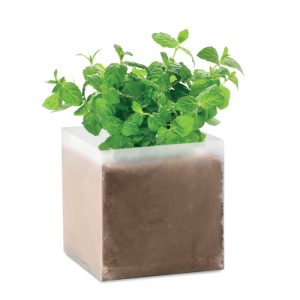 Compost with seeds "MINT" MO9546