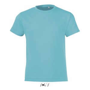 REGENT FIT DJECA 150 g